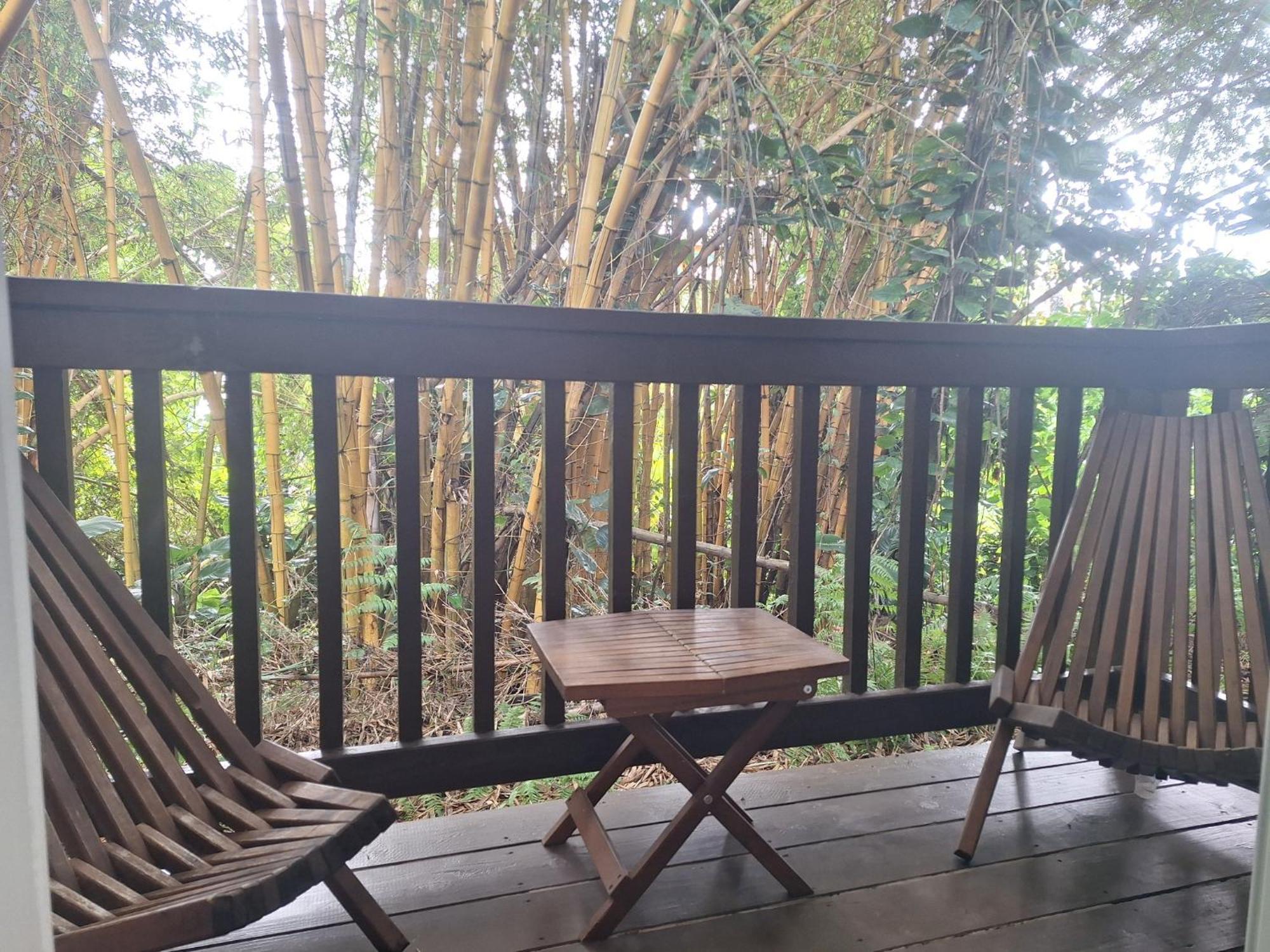 Wild Ginger Hotel 希洛 外观 照片